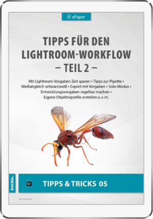 Tipps für den Lightroom Workflow – Teil 2
