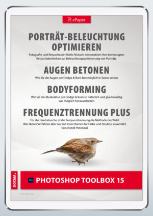 Photoshop Toolbox 15