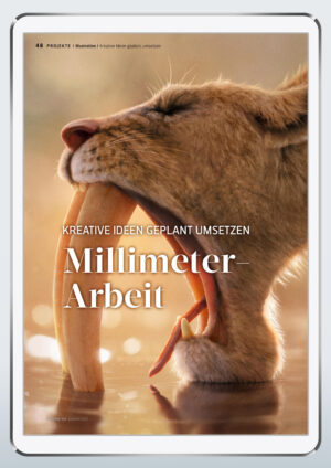 Millimeter-Arbeit