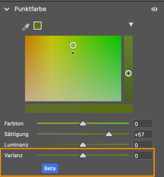 »Varianz« steht zurzeit ausschließlich in Camera Raw 17.4 zur Verfügung. Sie finden den Parameter dort im Panel »Punktfarbe«. Damit erhöhen oder reduzieren Sie die Farbvariation innerhalb eines gewählten Farbbereichs.